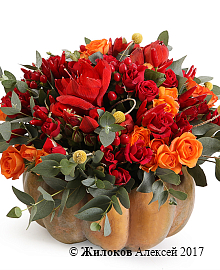 ���������� ������������ � ���� � �����