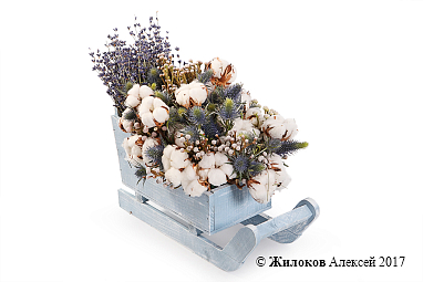 ����� � �������� ���� ����� ���������� � �����