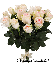 ����� 17 ��� ���������