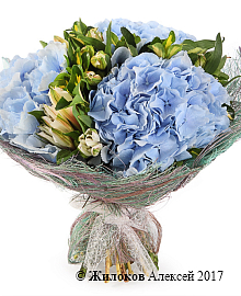 ����� � ����������� ������� ����