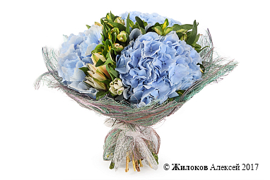 ����� � ����������� ������� ����