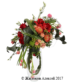 ���������� ���� ����������