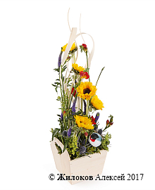 ���������� � ������������ ����� ������� � �����