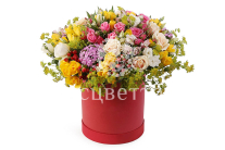 ����� ��������� ������� � ������� �������