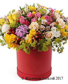 ����� ��������� ������� � ������� �������