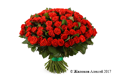 ����� 101 ������� ����, 50 ��