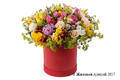 ����� ��������� ������� � ������� �������