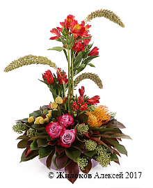 ���������� ������ ������ � �����