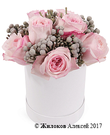 ����� ������ ��� ������ � ������� �������