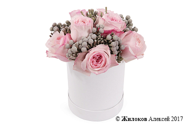 ����� ������ ��� ������ � ������� �������