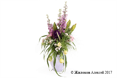 ����� ���� ������� � ����