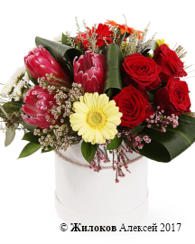 ����� ��������� ������� � ������� �������