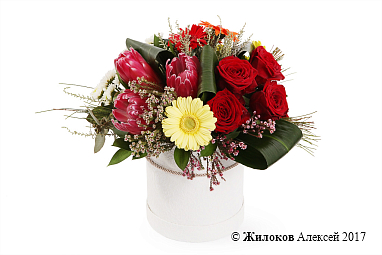 ����� ��������� ������� � ������� �������