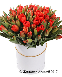 ����� 101 ����������� ������� � ����� ������� �������, ������-���������