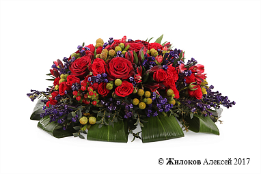 ���������� ������� ��������