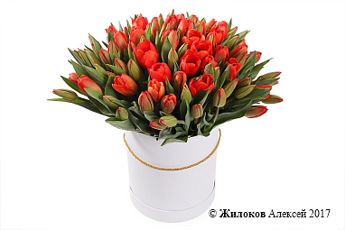 ����� 101 ����������� ������� � ����� ������� �������, ������-���������