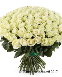 ����� 101 ���� ��������