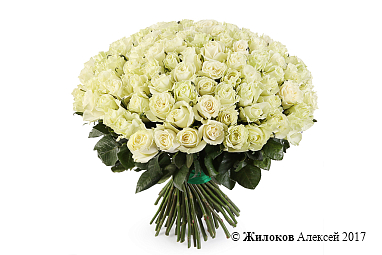 ����� 101 ���� ��������