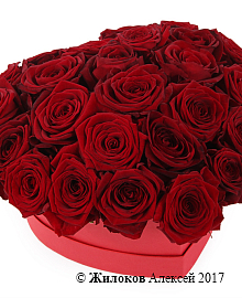 ����� �������� ������ � ������� ������� ������