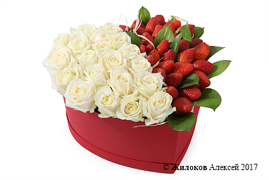 ���������� ��� ����� �������