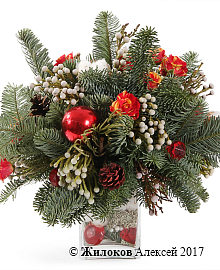 ����� ��������� ��������