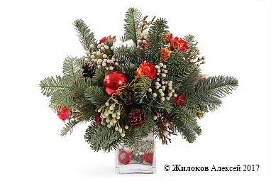 ����� ��������� ��������