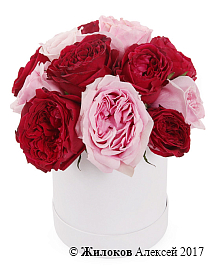 ����� ������ ����� � ������� �������