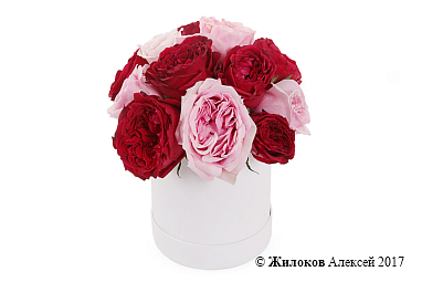 ����� ������ ����� � ������� �������