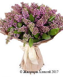 ����� ����� �����