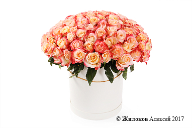 ����� 101 ���� ������ � ������� �������