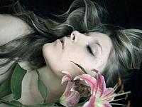 � ���� ������ ����� ������