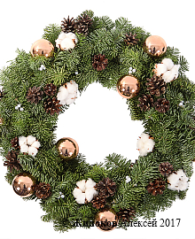 ����� ���������� ��������