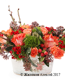 ����� ������������ ���