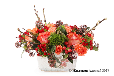 ����� ������������ ���