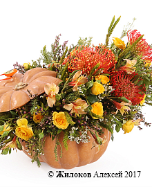 ���������� � ����� � ����� � �����