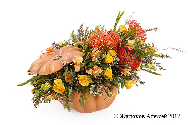 ���������� � ����� � ����� � �����