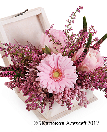 ���������� ������� ��� � �����