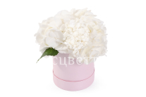 ����� ������ � ������� �������