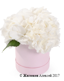 ����� ������ � ������� �������