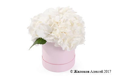 ����� ������ � ������� �������