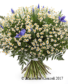 ����� � ��������� �������� �����