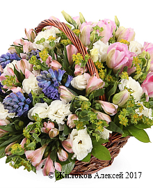 ����� ������ ���� � �������