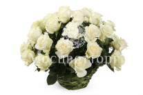 ����� 35 ��� �������� � �������