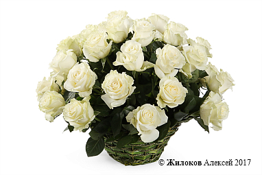 ����� 35 ��� �������� � �������