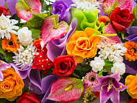 ����� ��� ������� � ���� � ��������