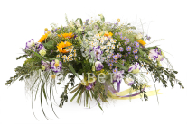 ����� ��� ��������� ����