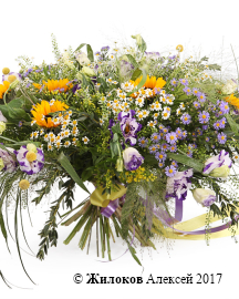 ����� ��� ��������� ����