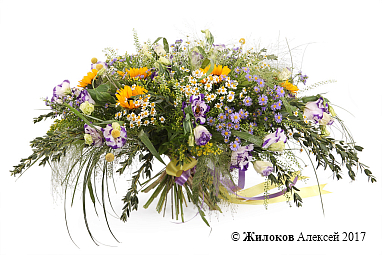 ����� ��� ��������� ����