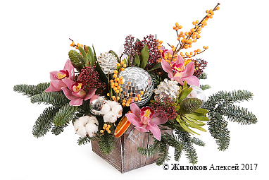 ���������� ������� � �����