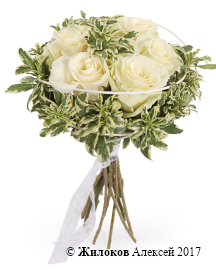 ����� �������� ������